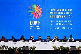 COP16 Opens - Cali