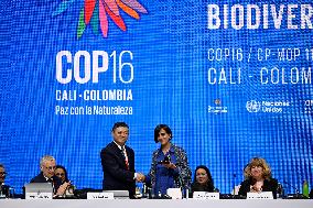 COP16 Opens - Cali