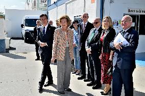 Queen Sofía Visits The Food Bank Foundation - Spain