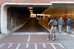 Cycling Mobility In Amsterdam