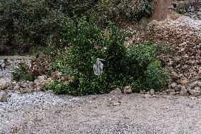 Landslide In Capri.