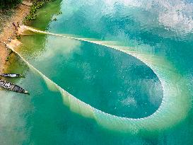 Fishing In Bangladesh