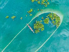 Fishing In Bangladesh