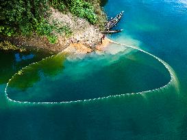 Fishing In Bangladesh