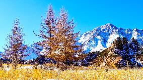 Qilian Mountains After Snow in Zhangye