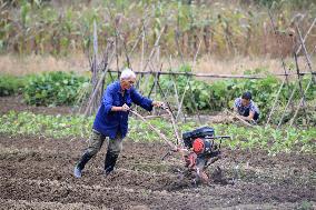 Farming in The Frost Season