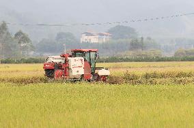 Farming in The Frost Season