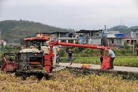 Farming in The Frost Season