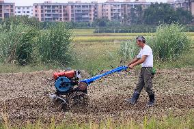 Farming in The Frost Season