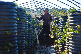 Agricultural Three-dimensional Planting