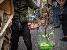 Displaced People Protest Eviction - Beirut