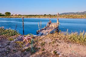 Greenpeace Denounces Massive Plastic Pollution Caused By Mussel Nets And Fishing Gear In Lesina And Varano