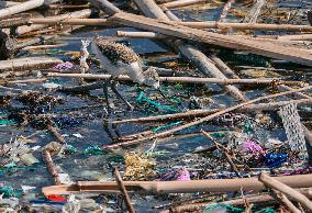 Greenpeace Denounces Massive Plastic Pollution Caused By Mussel Nets And Fishing Gear In Lesina And Varano