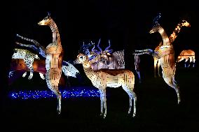 The Wild Lights Festival Of The Peaugres Safari