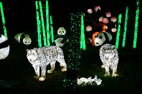 The Wild Lights Festival Of The Peaugres Safari