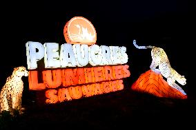 The Wild Lights Festival Of The Peaugres Safari