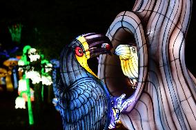 The Wild Lights Festival Of The Peaugres Safari