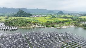 Fishery Solar Hybrid Project Photovoltaic Power Plant