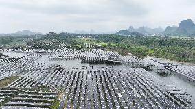 Fishery Solar Hybrid Project Photovoltaic Power Plant