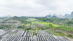 Fishery Solar Hybrid Project Photovoltaic Power Plant