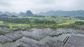 Fishery Solar Hybrid Project Photovoltaic Power Plant