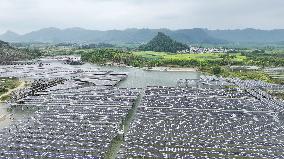 Fishery Solar Hybrid Project Photovoltaic Power Plant