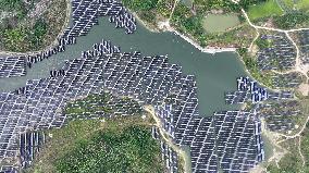 Fishery Solar Hybrid Project Photovoltaic Power Plant