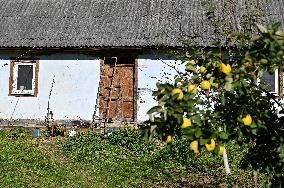 Havarechchyna village in Lviv region