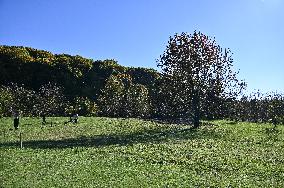 Havarechchyna village in Lviv region