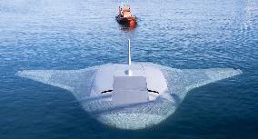 Manta Ray The US Navy's Secret Weapon