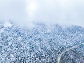 2024 First Alpine Rime Landscape in Jilin