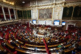 Questions to the government at the French National Assembly - Paris