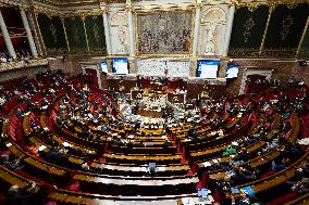 Questions to the government at the French National Assembly - Paris