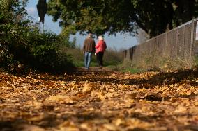 Autumn Weather In Cologne