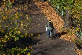 Autumn Weather In Cologne