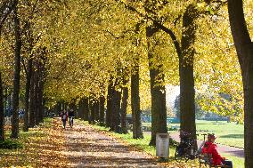 Autumn Weather In Cologne