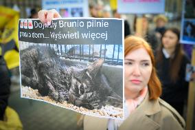 Rally Against Cat Shelter Conditions In Warsaw