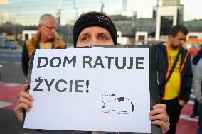 Rally Against Cat Shelter Conditions In Warsaw