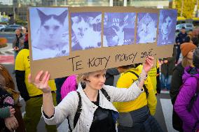 Rally Against Cat Shelter Conditions In Warsaw