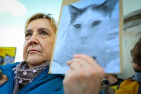 Rally Against Cat Shelter Conditions In Warsaw