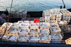 Jimiya Fishing Port in Qingdao