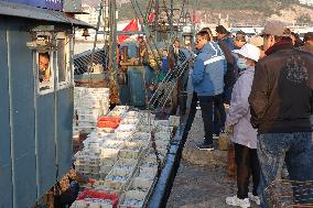 Jimiya Fishing Port in Qingdao