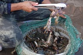 Jimiya Fishing Port in Qingdao