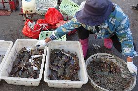 Jimiya Fishing Port in Qingdao