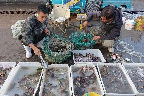 Jimiya Fishing Port in Qingdao