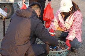 Jimiya Fishing Port in Qingdao