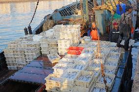 Jimiya Fishing Port in Qingdao