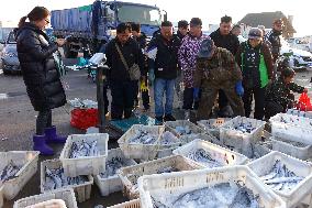 Jimiya Fishing Port in Qingdao