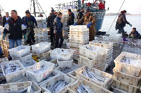 Jimiya Fishing Port in Qingdao