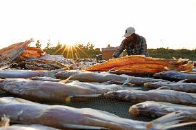 Dried Fish